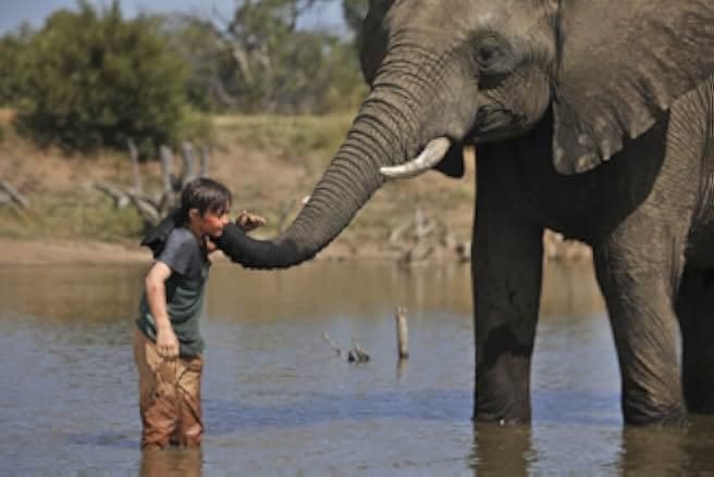 Against the Wild 2: Survive the Serengeti 2016