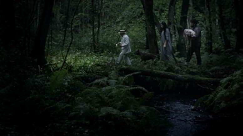 Koko-di Koko-da 2019