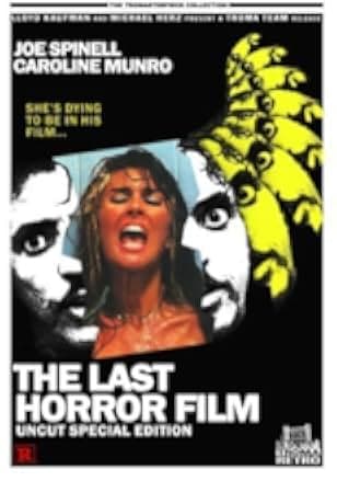 The Last Horror Film 1982