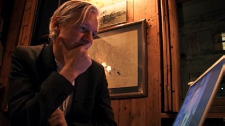 We Steal Secrets 2013