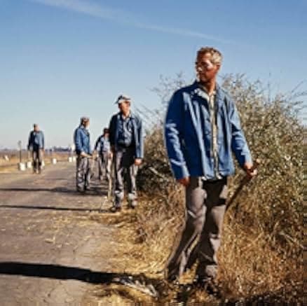 Cool Hand Luke 1967