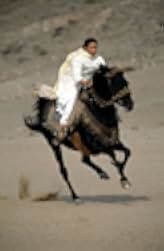 The Young Black Stallion 2003