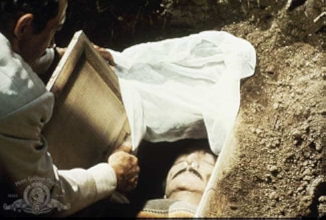 Bring Me the Head of Alfredo Garcia 1974