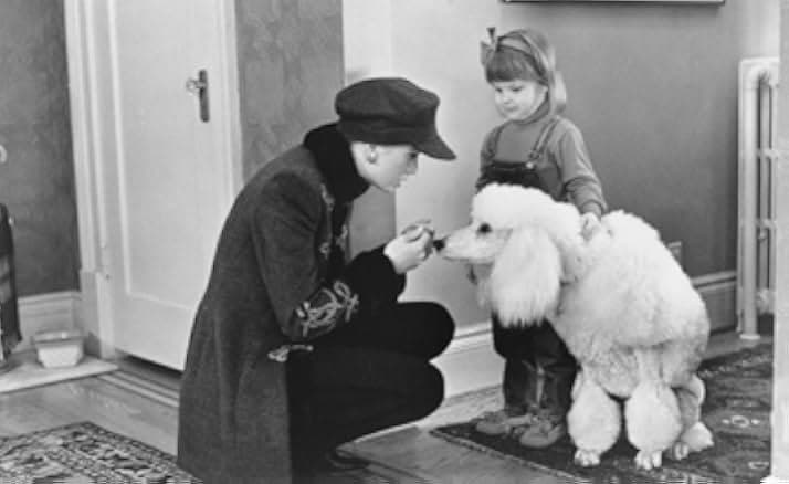 Look Who's Talking Now 1993