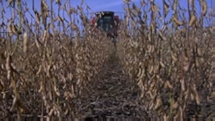 Food, Inc. 2008