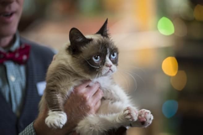 Grumpy Cat's Worst Christmas Ever 2014