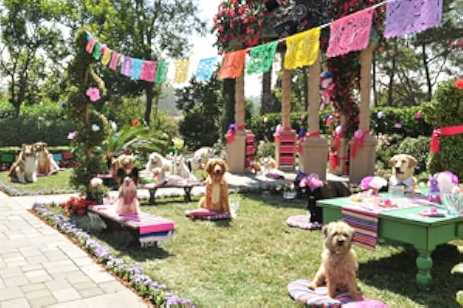 Beverly Hills Chihuahua 3: Viva La Fiesta! 2012