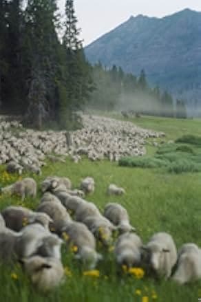 Sweetgrass 2009