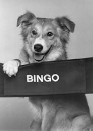 Bingo 1991