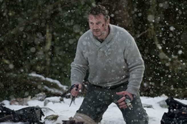 The Grey 2011
