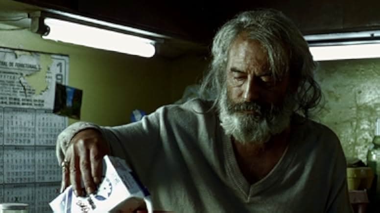 Amores Perros 2000