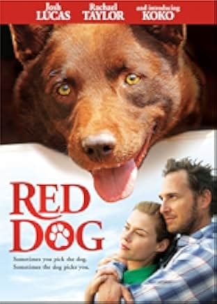 Red Dog 2011