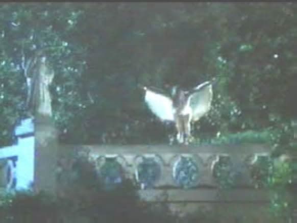 The Master of Disguise 2002