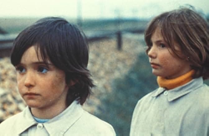 The Spirit of the Beehive 1973