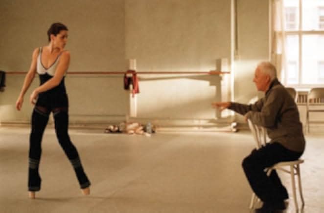 The Company 2003
