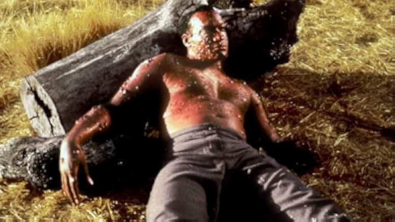 Candyman: Farewell to the Flesh 1995