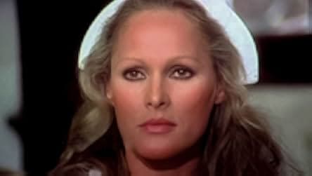 The Sensuous Nurse 1975