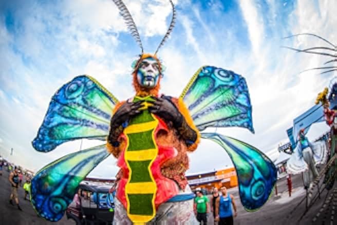 Under the Electric Sky 2014