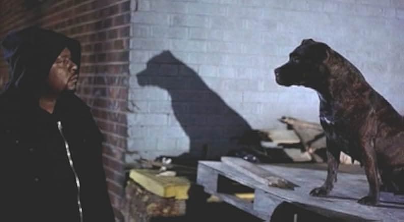 Ghost Dog: The Way of the Samurai 1999