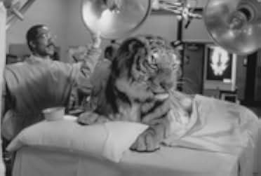 Doctor Dolittle 1998