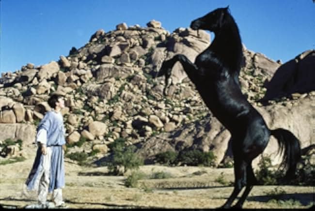 The Black Stallion Returns 1983
