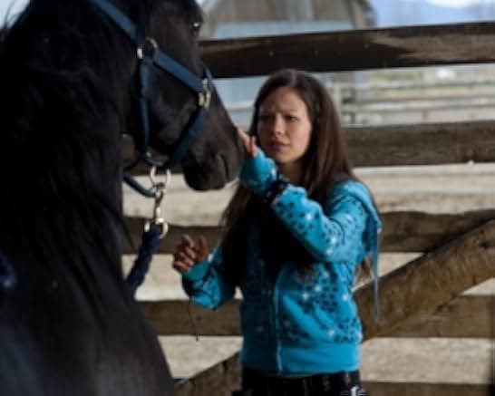 Flicka 2 2010