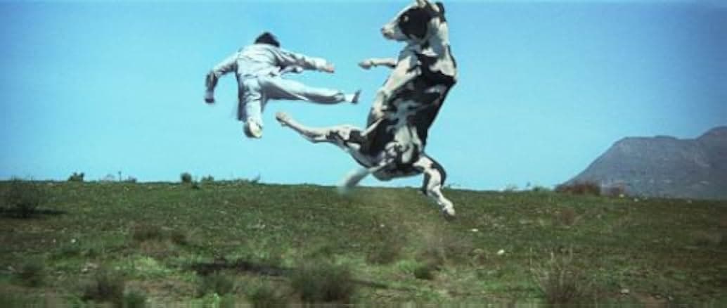 Kung Pow: Enter the Fist 2002