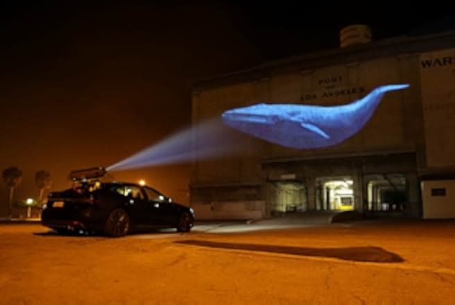 Racing Extinction 2015