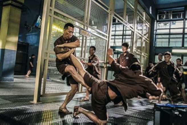 Kung Fu Jungle 2014