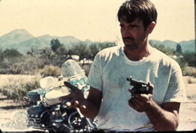 Electra Glide in Blue 1973
