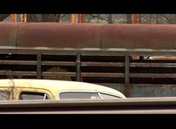 The Elephant in the Living Room 2010