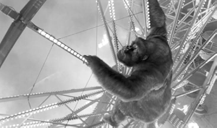 Mighty Joe Young 1998