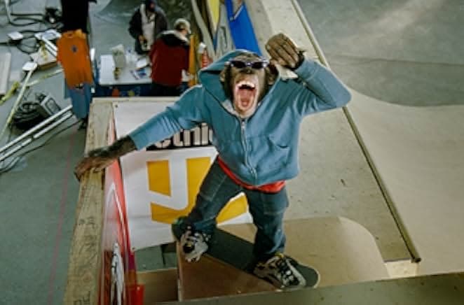 MVP: Most Vertical Primate 2001