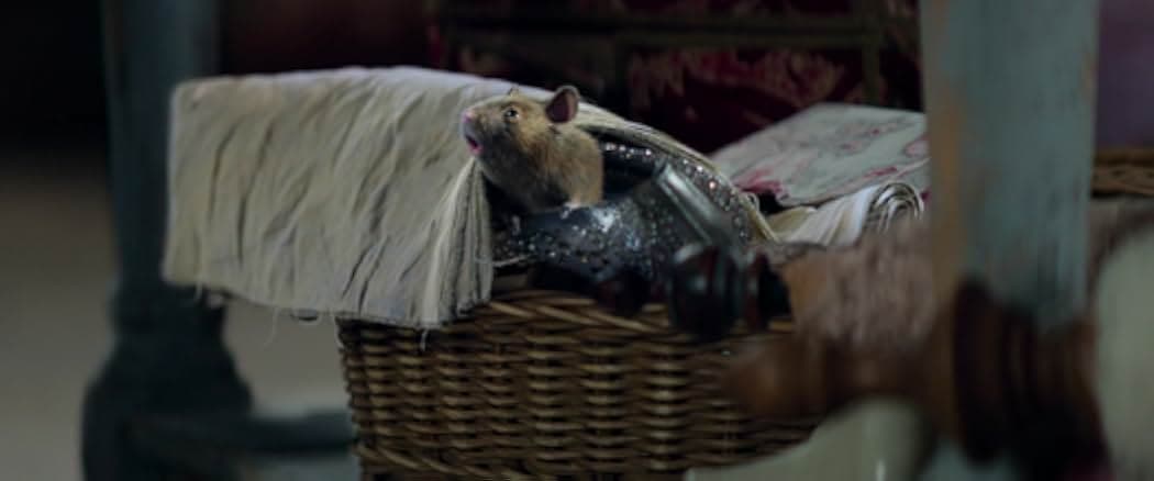 Cinderella 2021