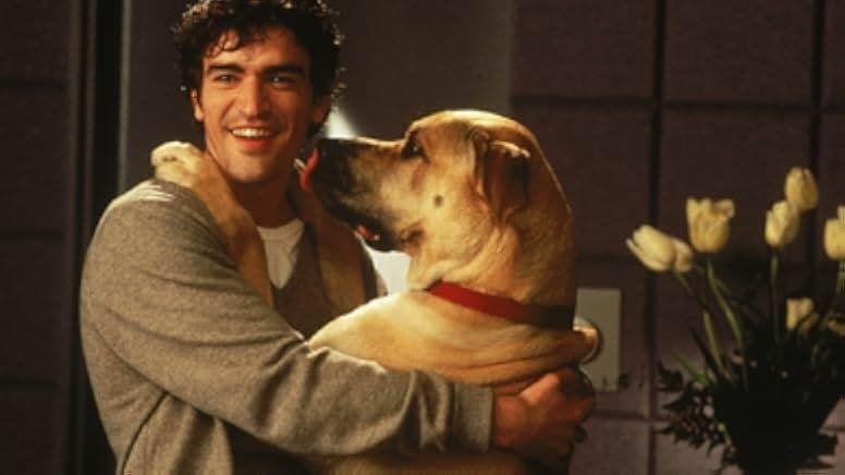 The Truth About Cats & Dogs 1996