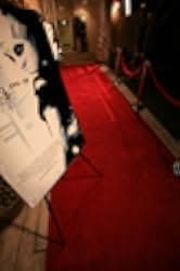 Enigma 2009