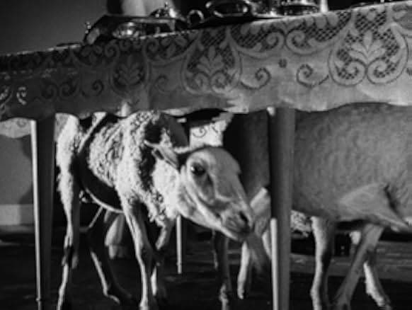 The Exterminating Angel 1962