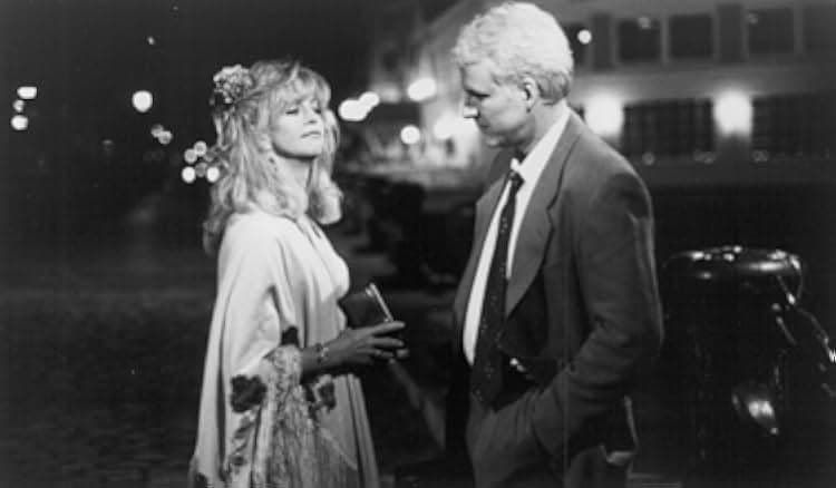 HouseSitter 1992