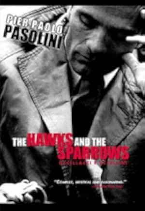 The Hawks and the Sparrows 1969