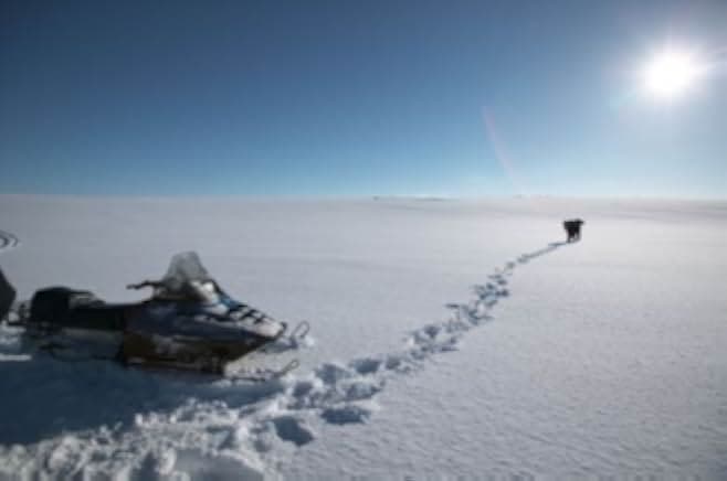 The Last Winter 2006