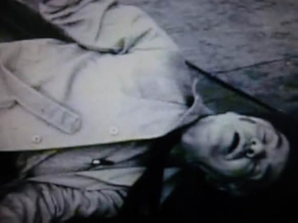 The Wasp Woman 1959