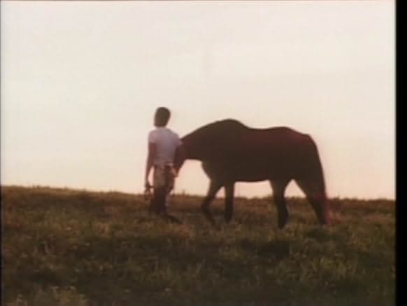 Haruka naru yama no yobigoe 1980