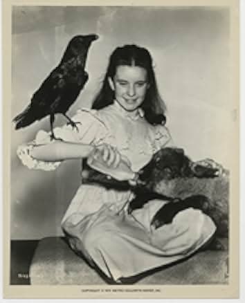 The Secret Garden 1949