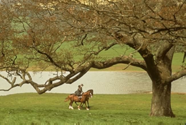 Sense and Sensibility 1995