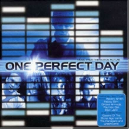 One Perfect Day 2004
