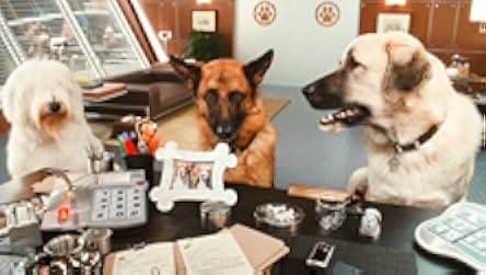 Cats & Dogs: The Revenge of Kitty Galore 2010