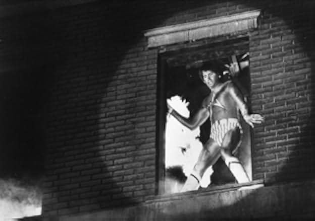 Hero at Large 1980
