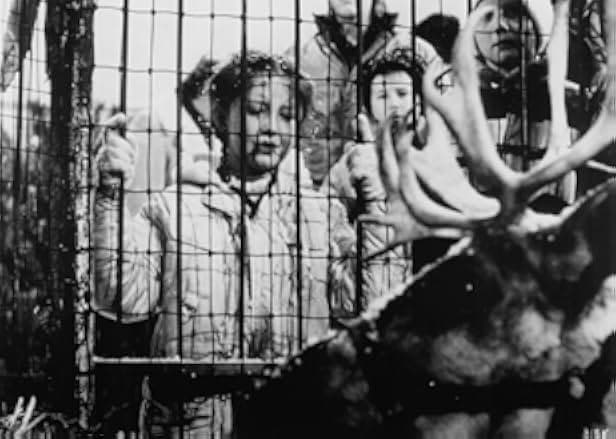 Prancer 1989