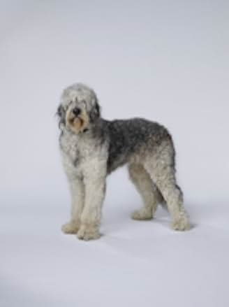 Peter Pan Live! 2014