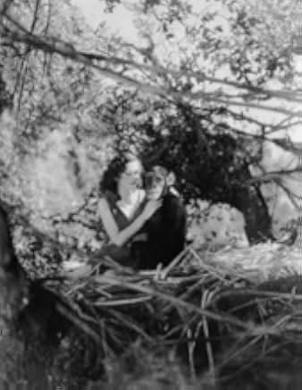 Tarzan the Ape Man 1932